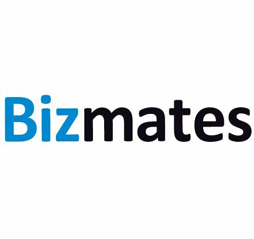 Bizmates 口コミ・評判